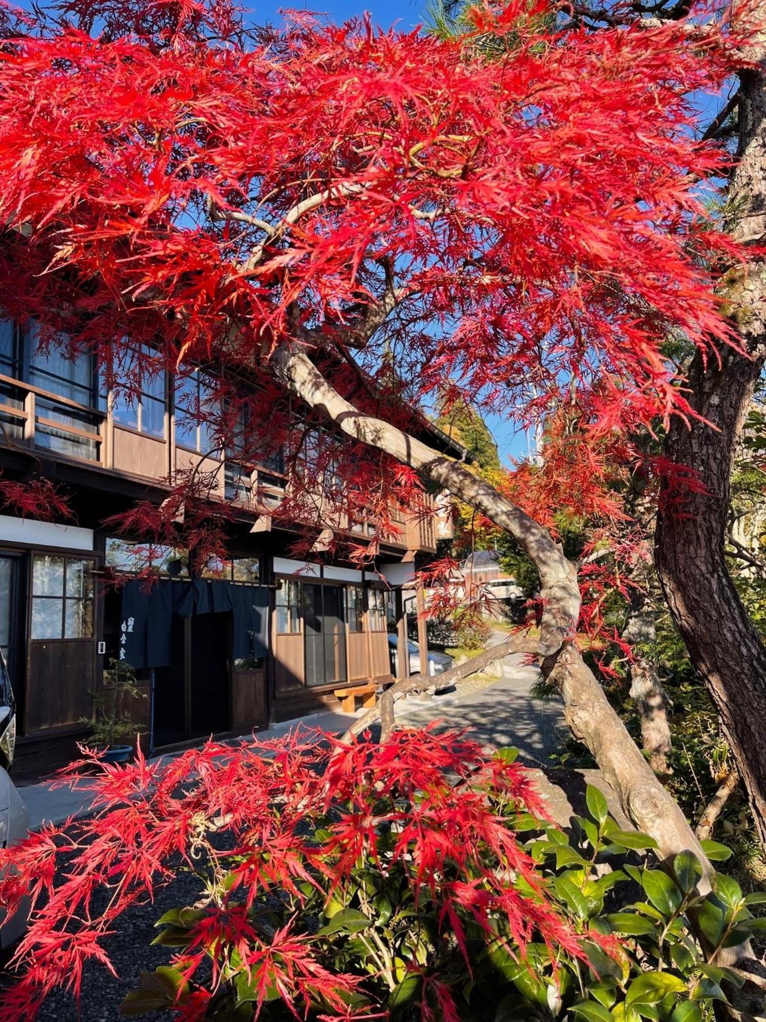 宿屋白金家 Yadoya-Shiroganeya 1日1組限定2名から8名様まで 全館貸切り 伝統的建造物の旅籠宿 Traditional Culture Experience 长野 外观 照片